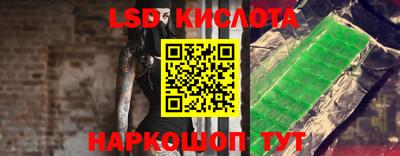 spice Гатчина