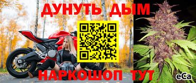 spice Гатчина