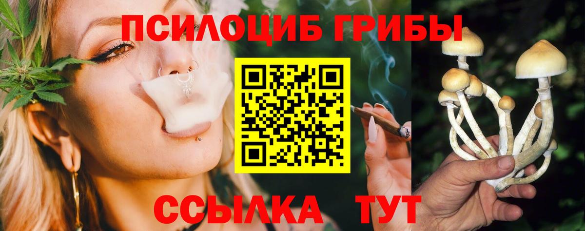 Галлюциногенные грибы прущие грибы Гатчина